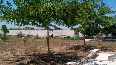 Foto 5 de Finca rústica en venda a Cami de Les Marjaletes, 3, Oliva pueblo, Oliva