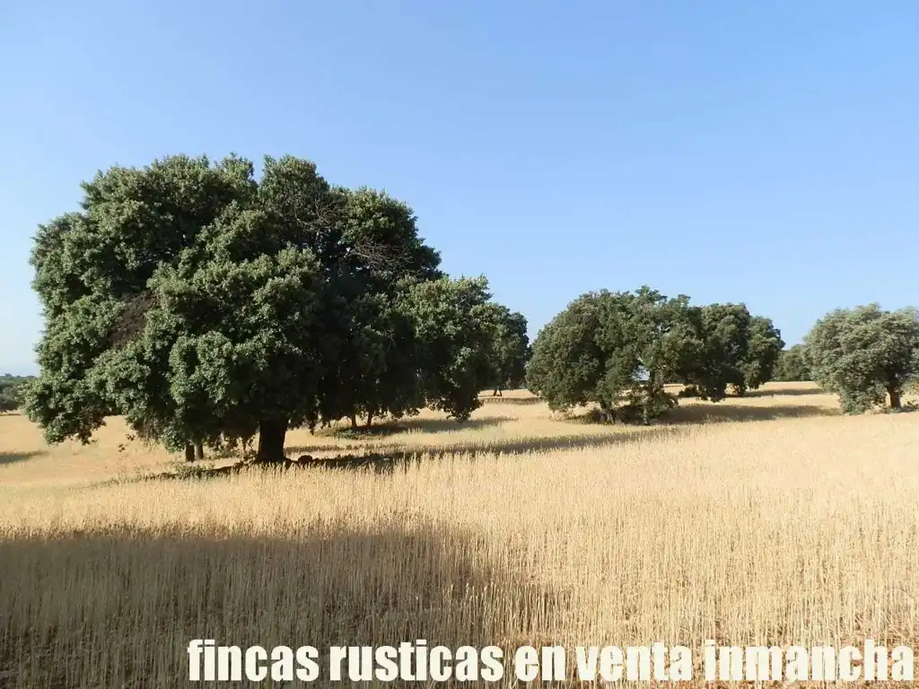Terreno en venta en Alcaraz