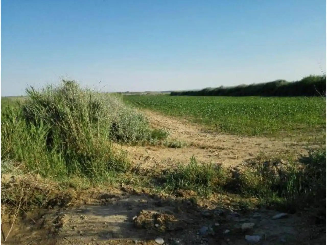 Terreno en venta en Alberuela de Tubo