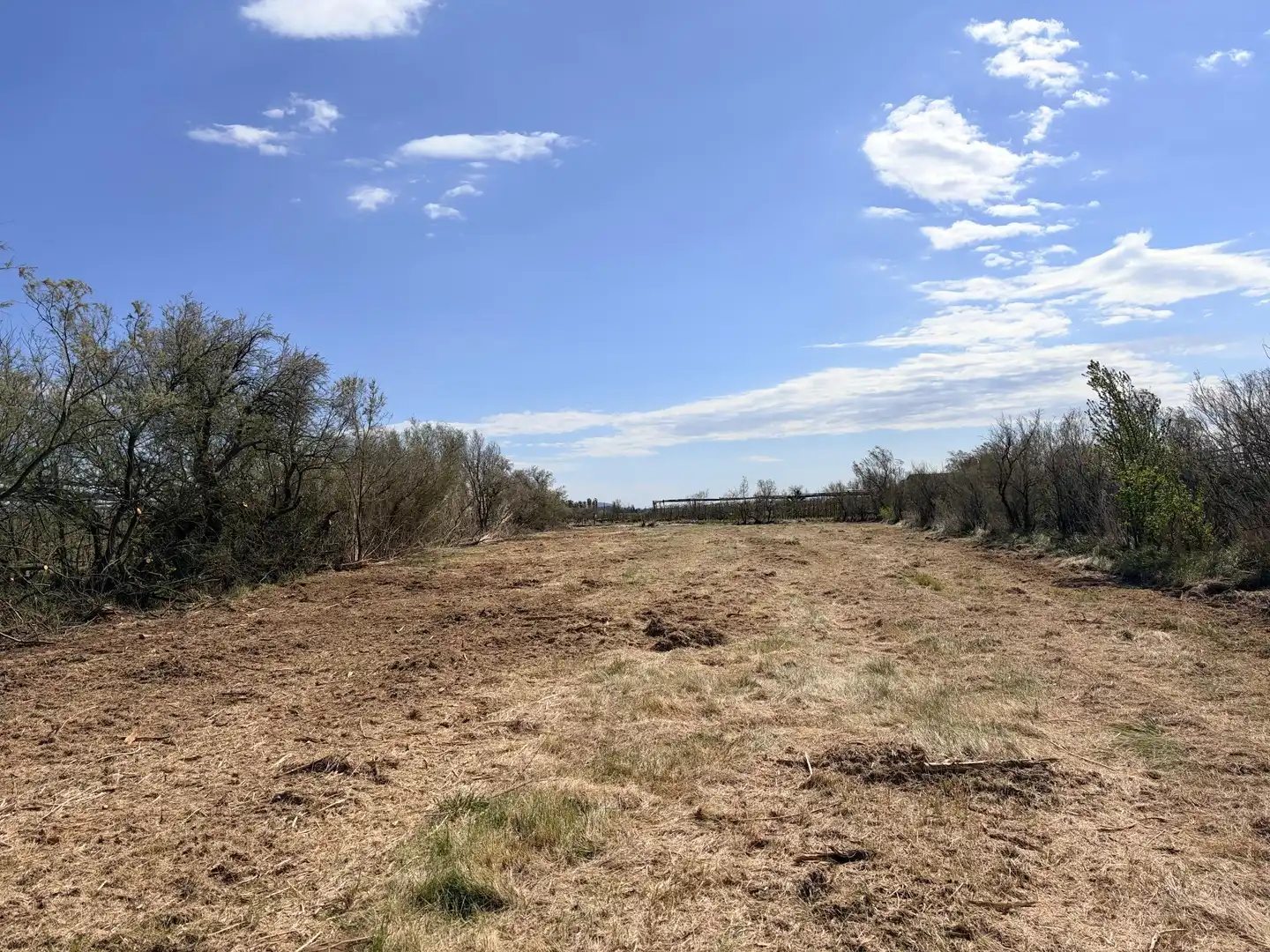 Rural land for sale in Sant Pere Pescador, imagen 11