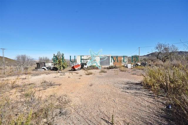 Terreno en Venta en  LOS RUICES, SN en La Pinilla - Las Palas