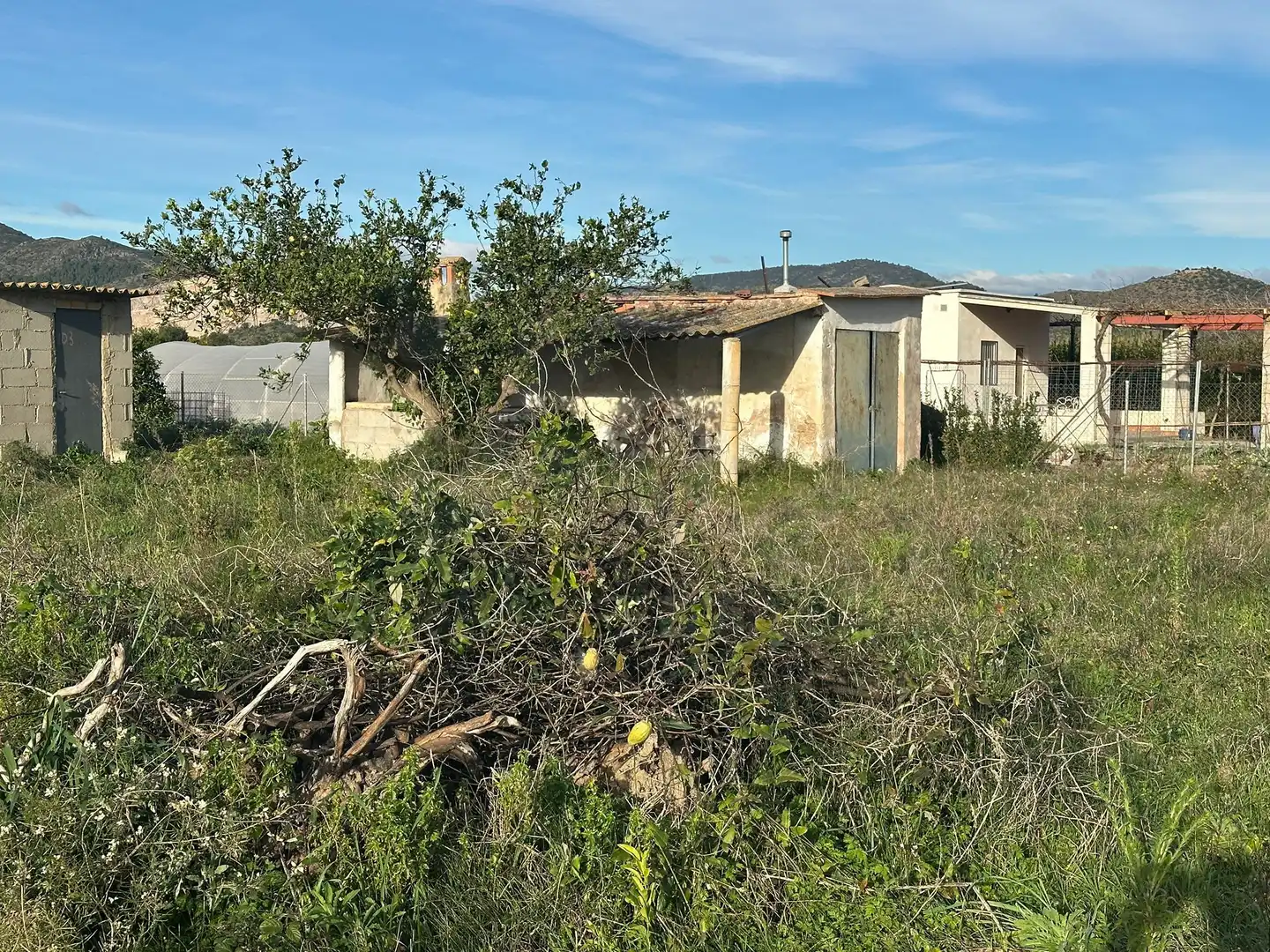 Lands and plots for sale in Pego, imagen 3