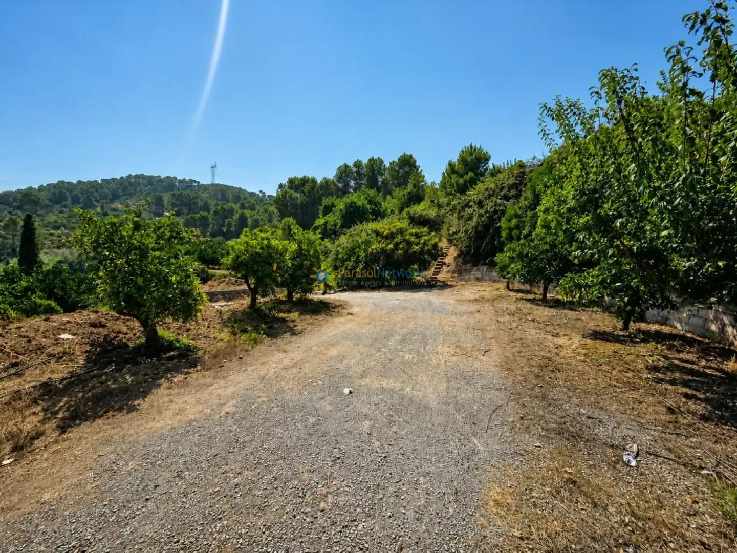 Finca rústica en venda en Sellent amb Terrassa, Traster i Piscina