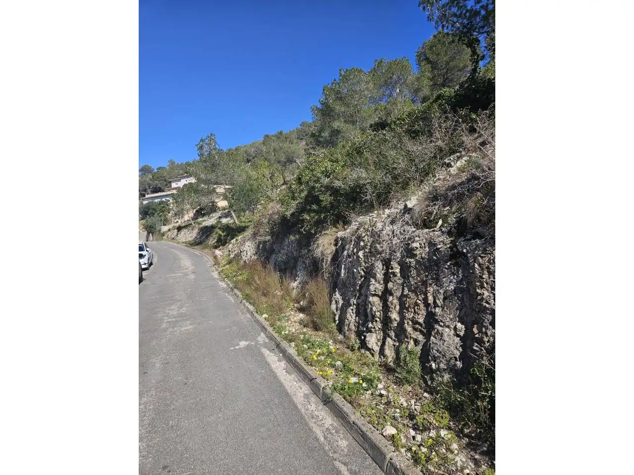Rural land for sale in Pinos, imagen 5