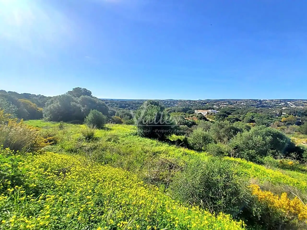 Terrenys i solars en venda a Lavanda En La Reserva De Sotogrande, imagen 8