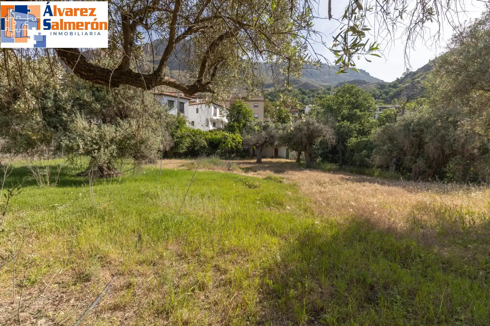Lands and plots for sale in Carretera de Maitena, imagen 20