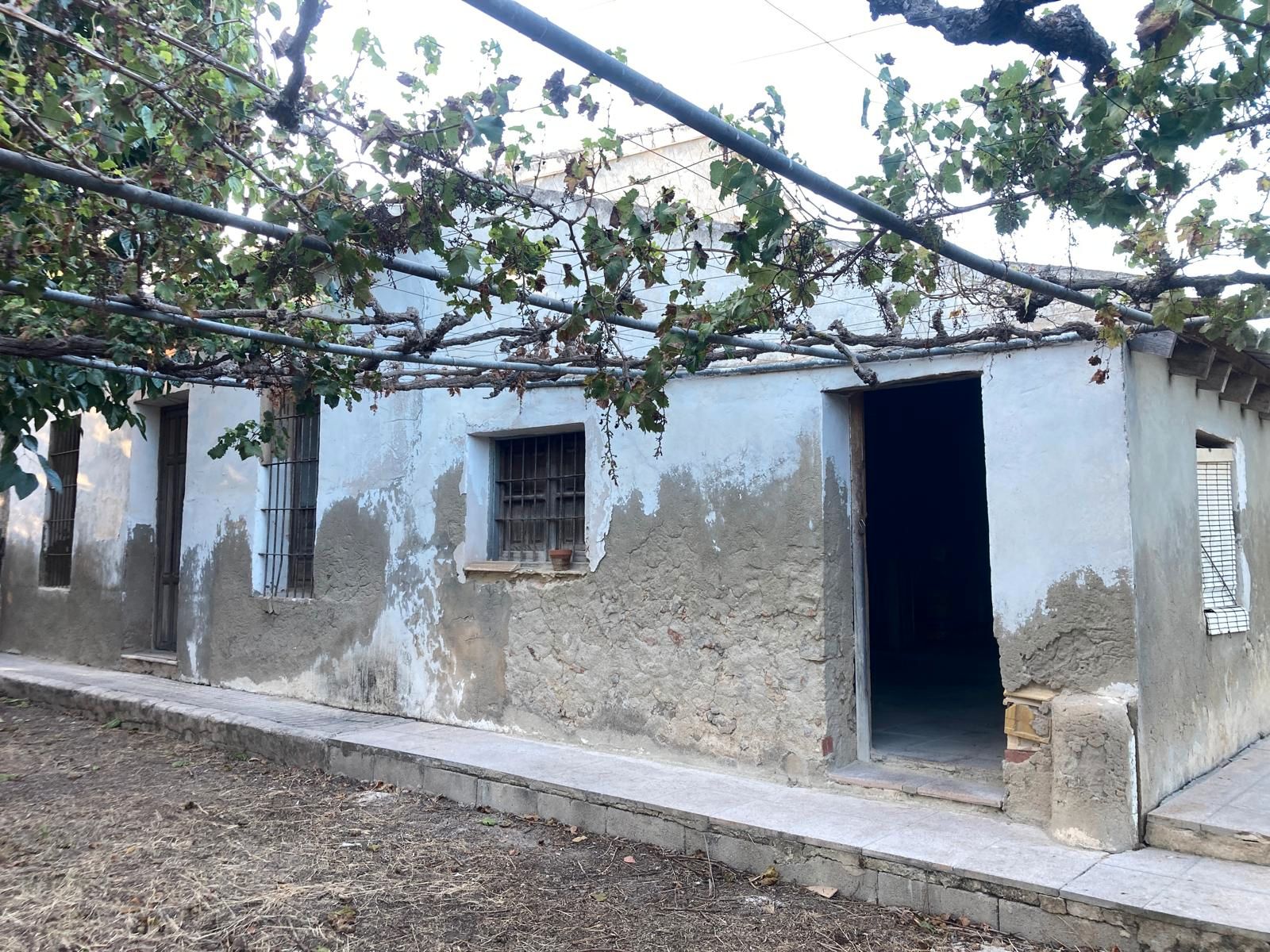 Außenansicht von Grundstücke zum verkauf in Daya Nueva