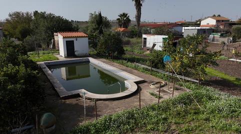 Foto 4 de Finca rústica en venta en Las Cabezas de San Juan, Sevilla