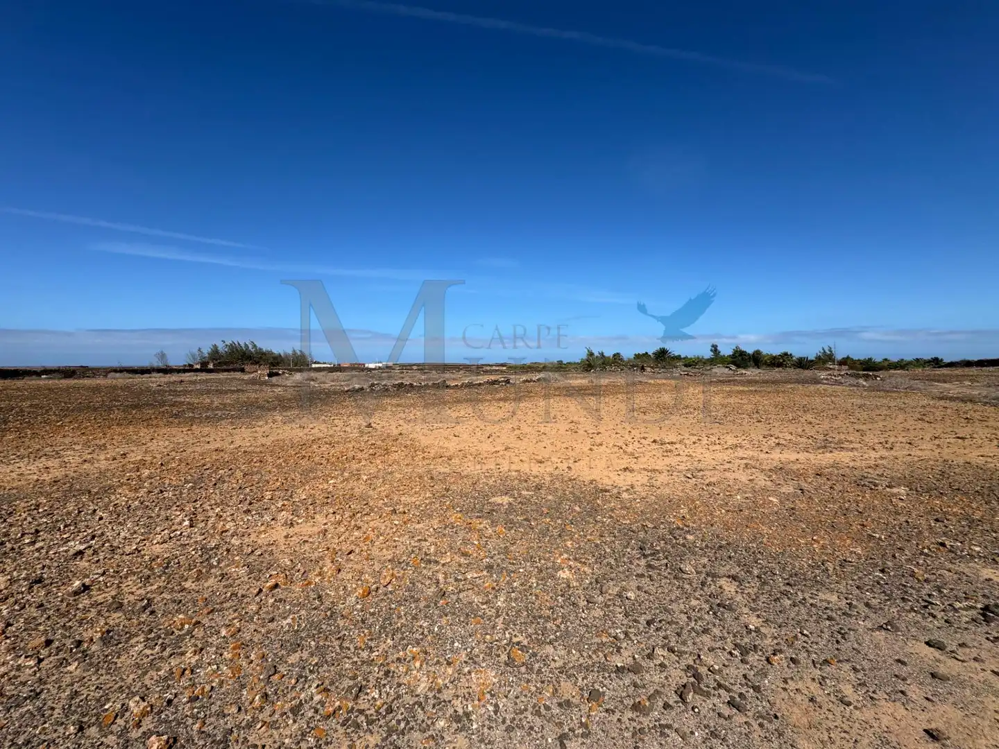 Land for sale in La Oliva