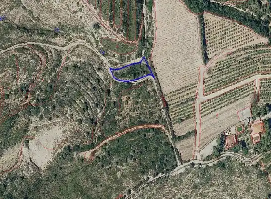 Terreny rústic en venda a Carlet, imagen 10