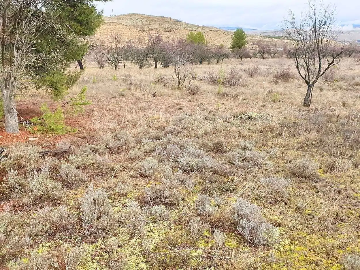 Terreno en venta en Maluenda