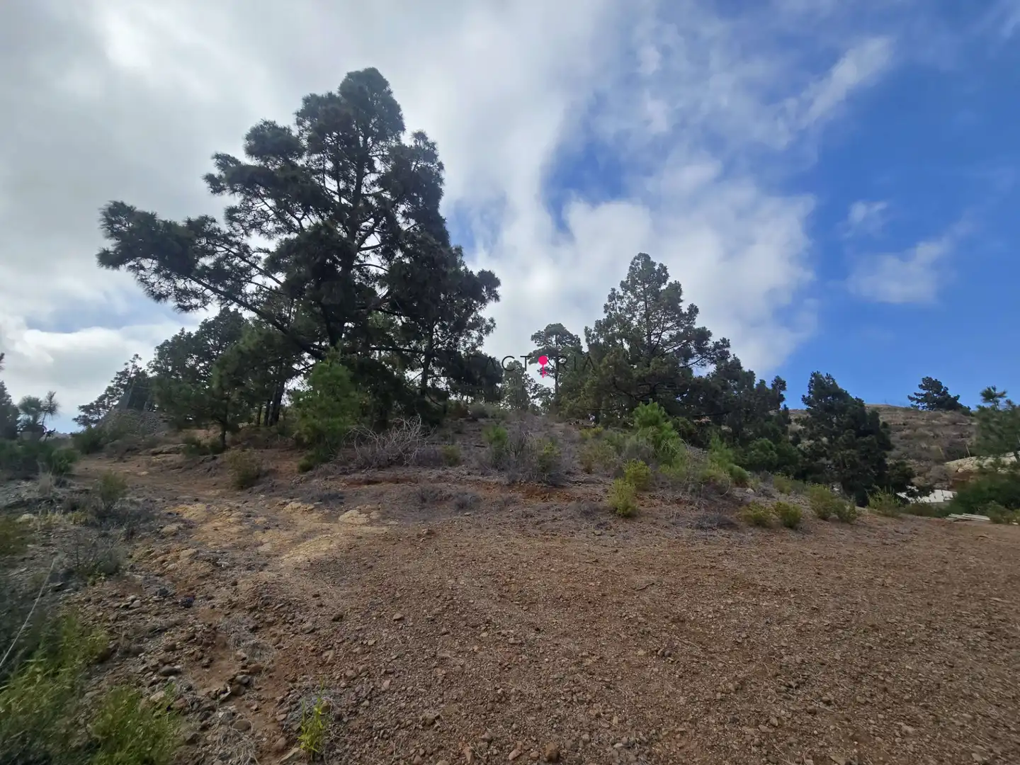 Terreno en venta en Cruz de Tea