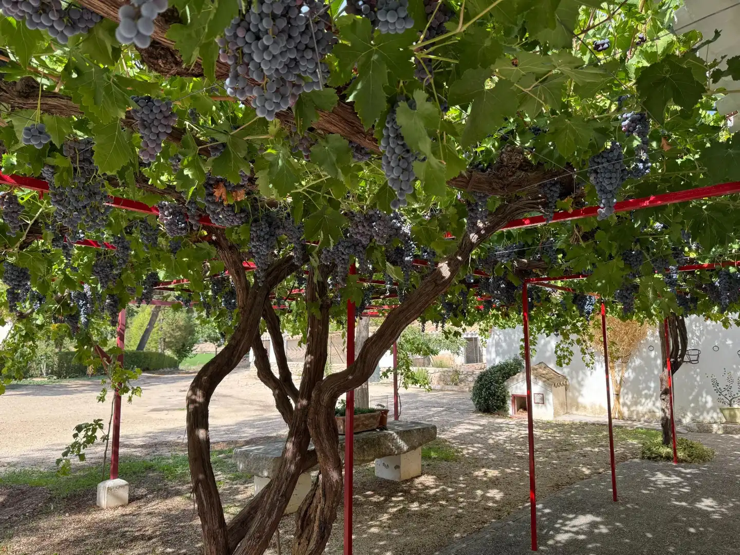 Jardín de Finca rústica en venta en Huéscar