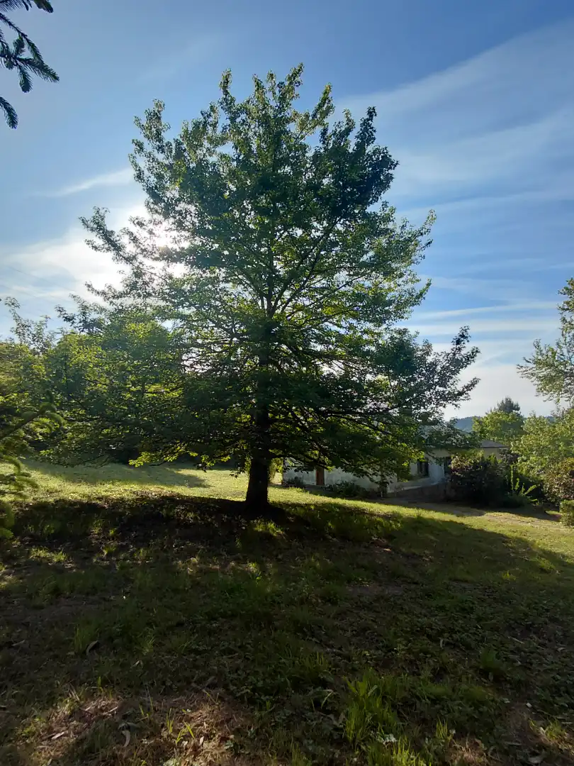 Casa o chalet en venta en Oleiros con Aire acondicionado, Calefacción y Jardín privado