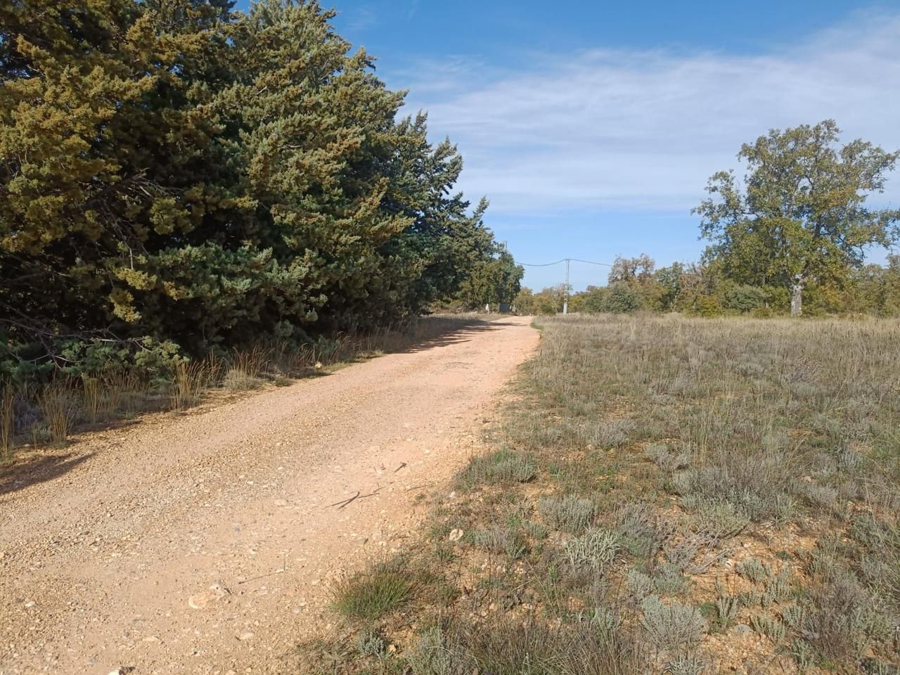 Terreno en venta en Pastrana