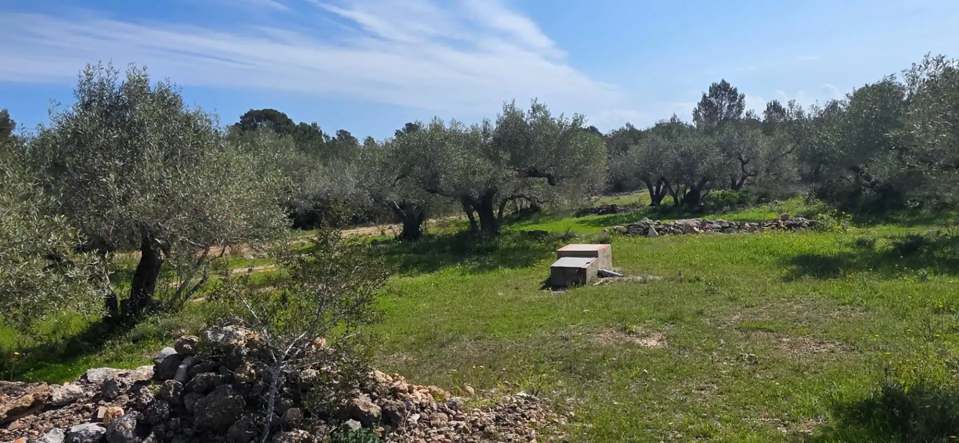 Maison rustique à vendre à L'Ametlla de Mar pueblo, imagen 20