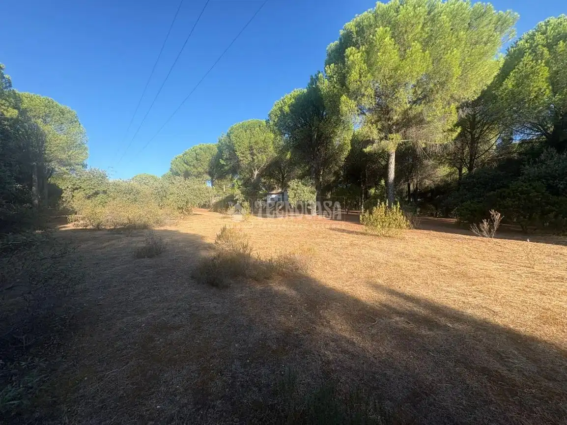 Casa rústica amb jardí en venda a Andújar, imagen 14