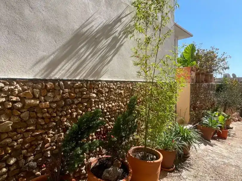 Garden of Houses for sale in  Palma de Mallorca  with Air Conditioner, Terrace and Balcony