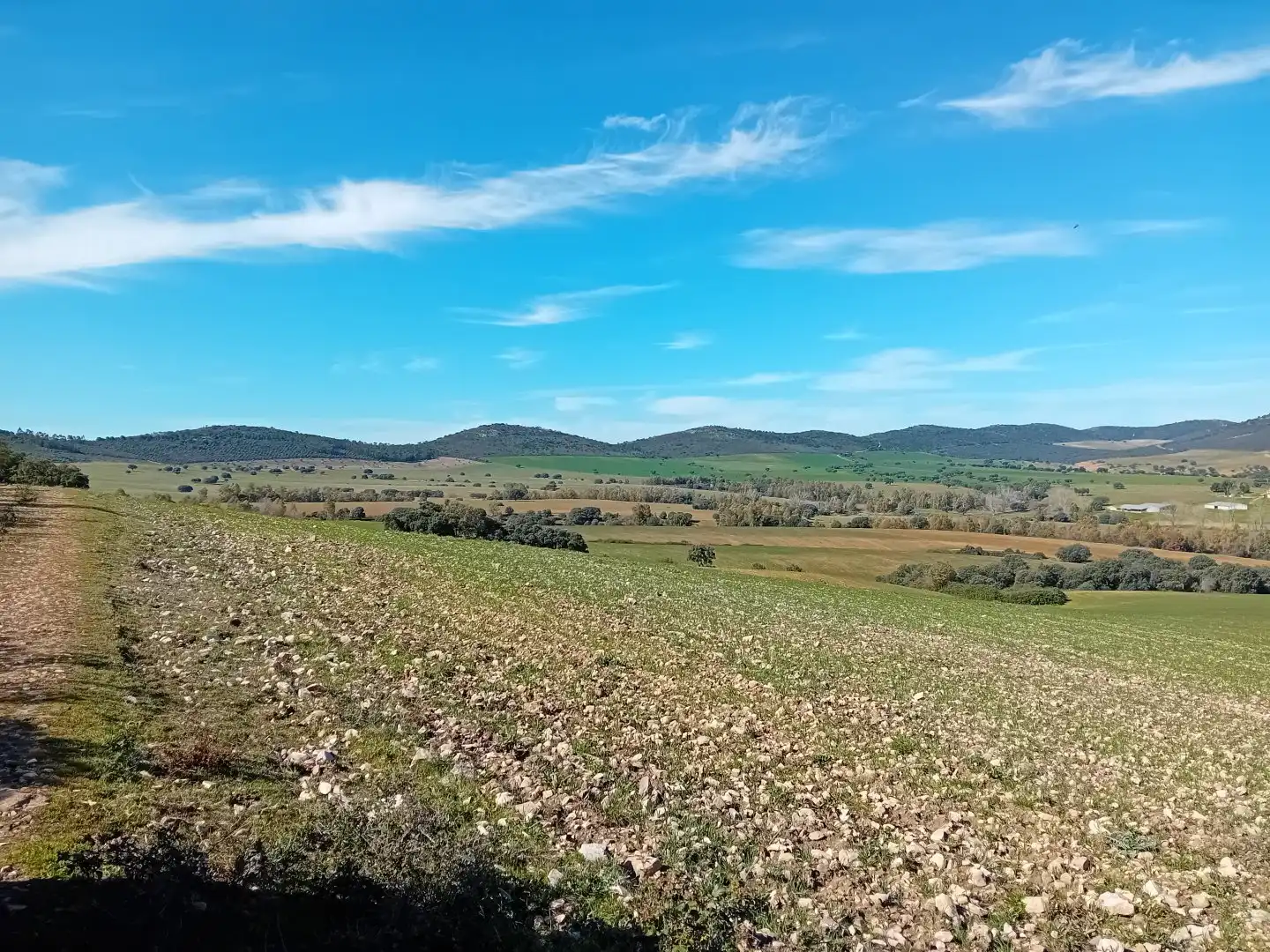 Residential for sale in Puebla de Don Rodrigo