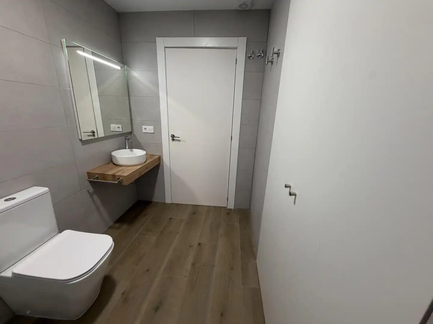 Bany de Estudi en venda en Alberic, Valencia