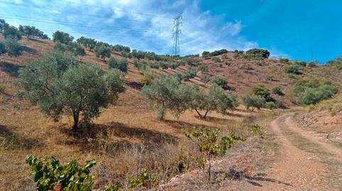 Photo 5 of House or chalet for sale in El Burgo, Málaga