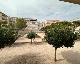 Exterior view of Study for sale in Guardamar del Segura  with Terrace and Balcony