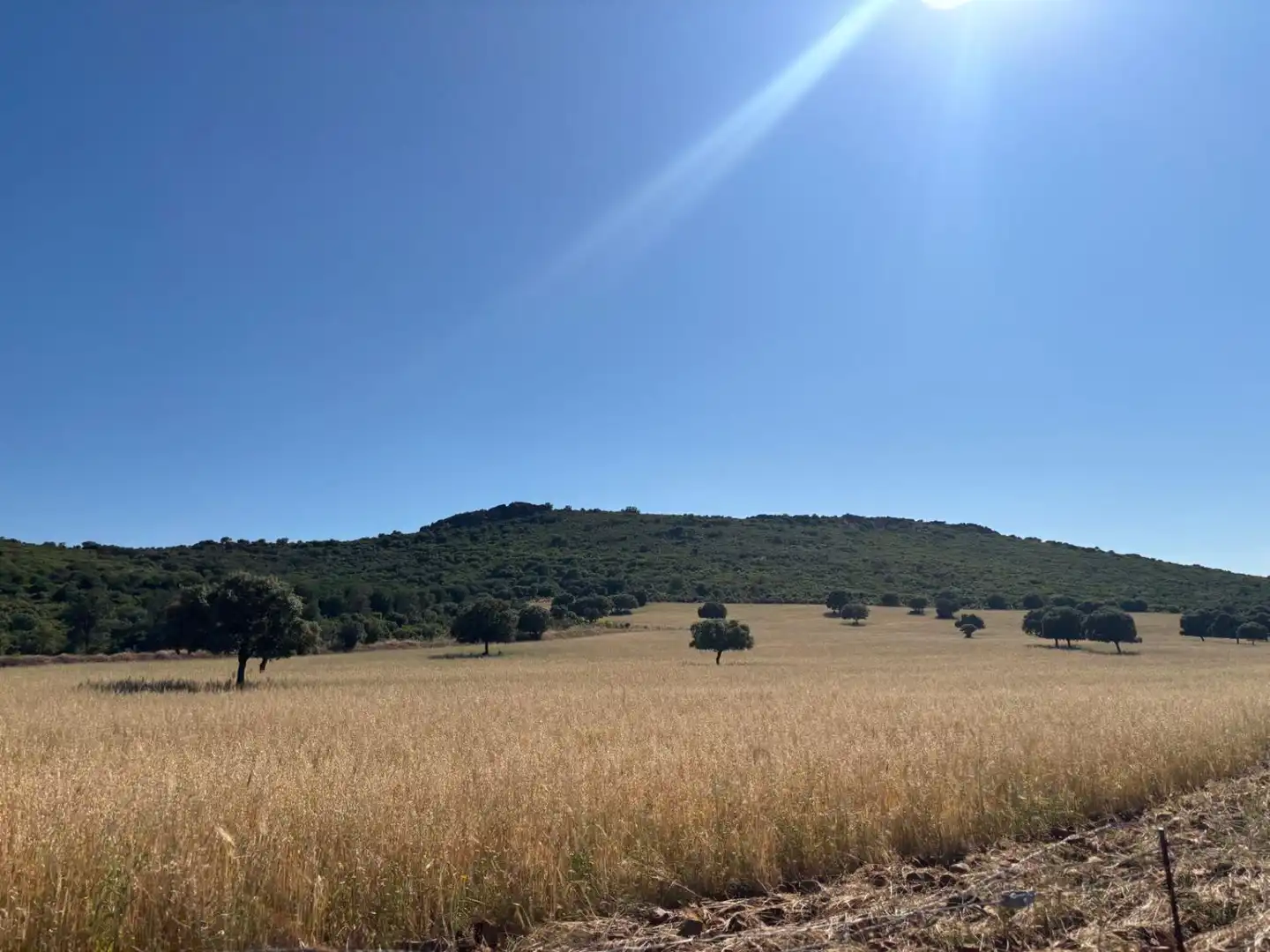 Finca rústica en venda en Ciudad Real