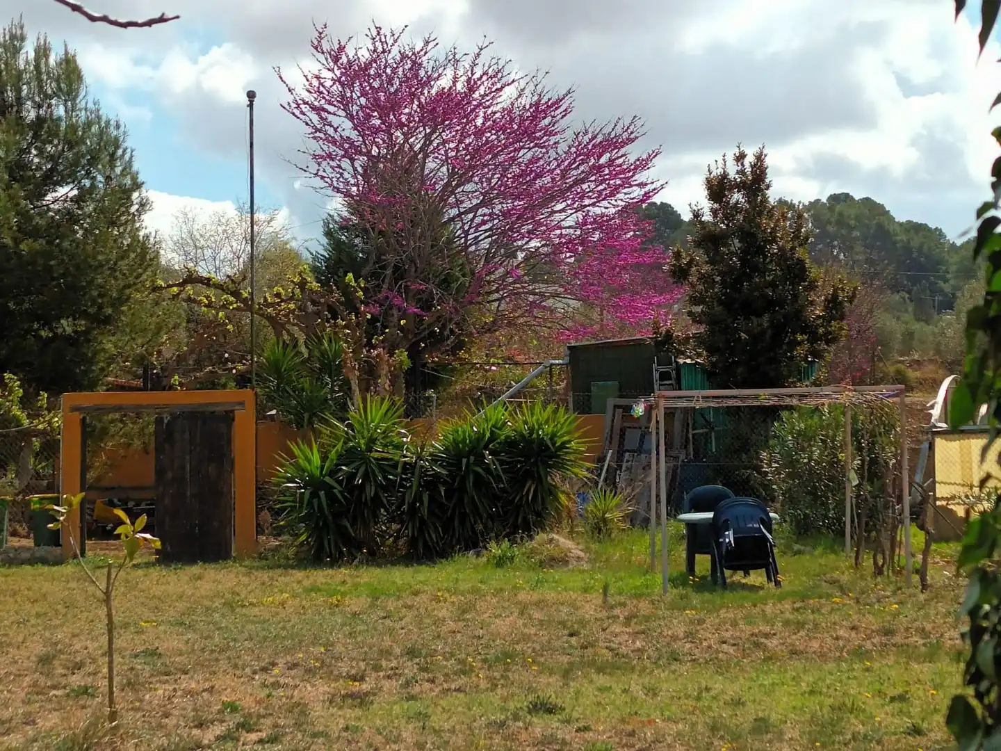 Jardí de Finca rústica en venda en Vallmoll