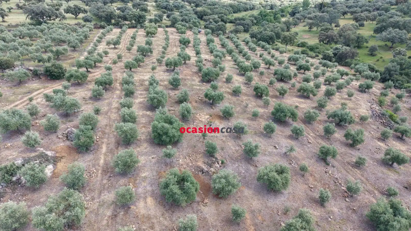 Residential land for sale in Fuente Obejuna