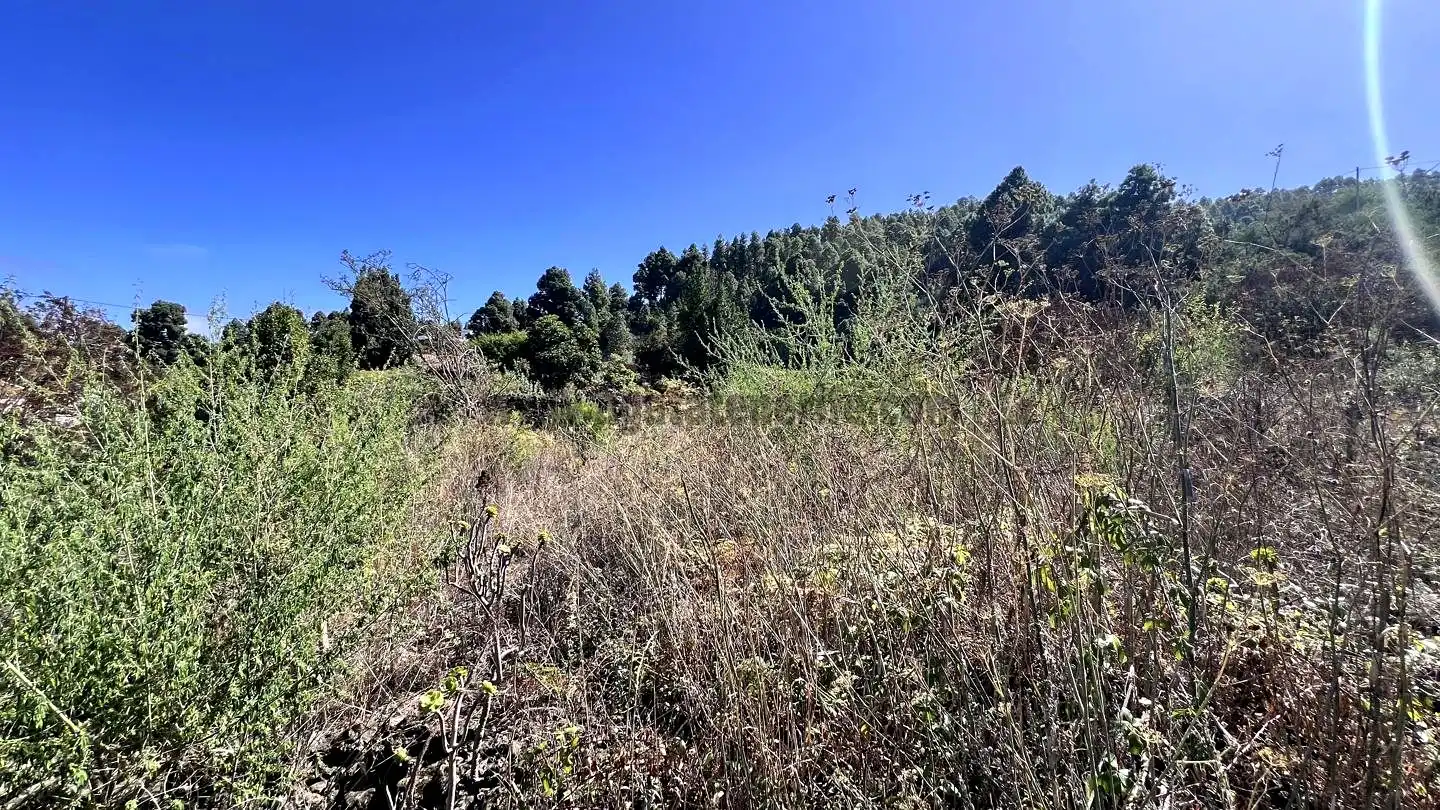 Rural land for sale in La Vega - El Amparo - Cueva del Viento, imagen 12