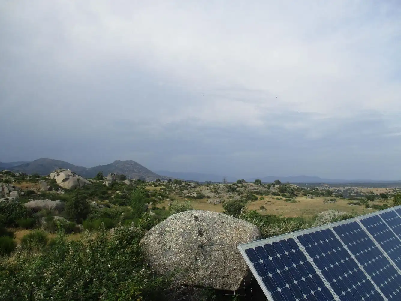 Jardín de Residencial en venta en Fresnedillas de la Oliva