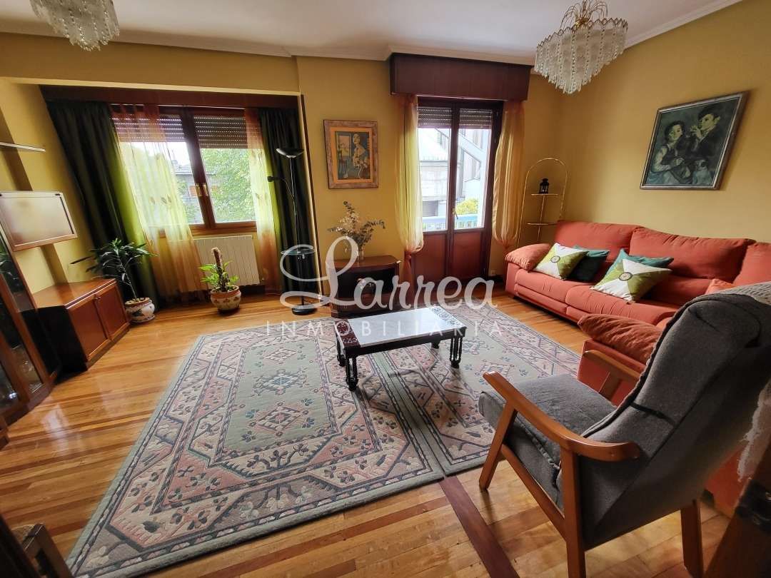 Living room of Flat for sale in Lemoa  with Heating, Furnished and Balcony