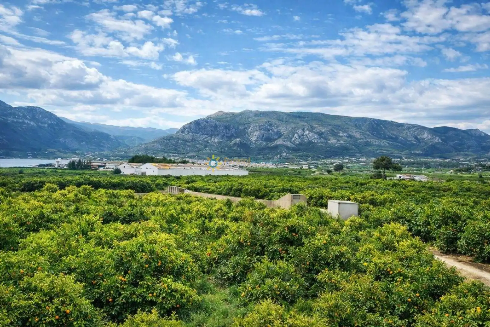 Maison rustique avec terrasse à vendre à Benifairó de la Valldigna, imagen 31