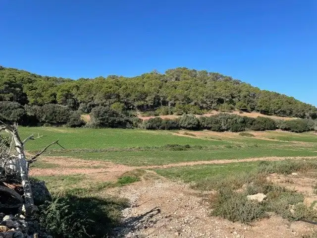 Casa o chalet en venta en Ciutadella de Menorca con Jardín privado, Terraza y Trastero