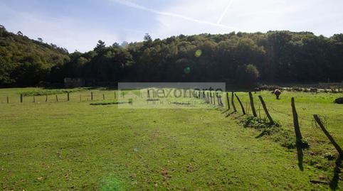 Foto 4 de Finca rústica en venta en O Sumeiro, O Burgo, Muras, Lugo