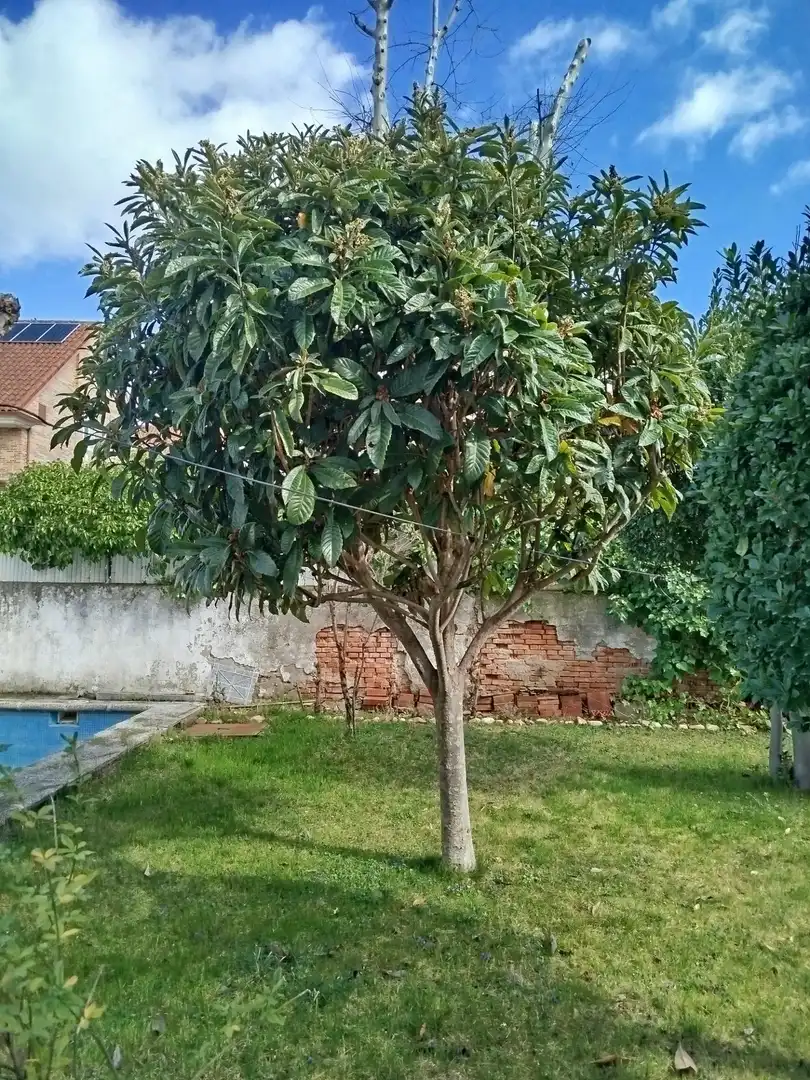 Casa o chalet en venta en Pozuelo de Alarcón con Calefacción
