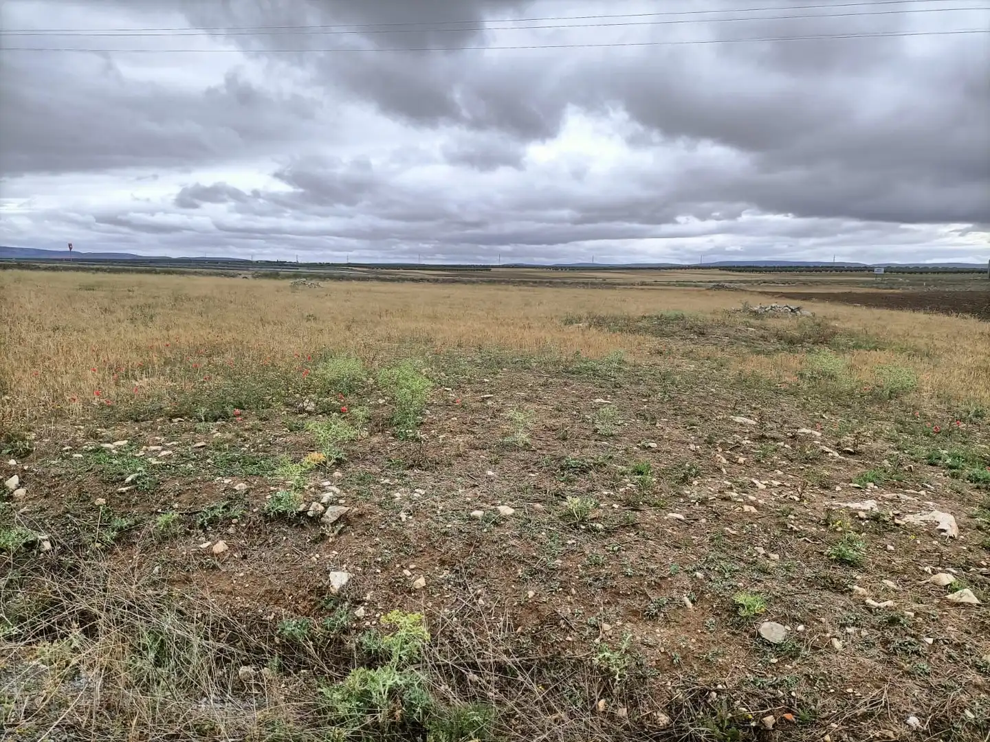 Rural land for sale in Almonacid de Toledo, imagen 4