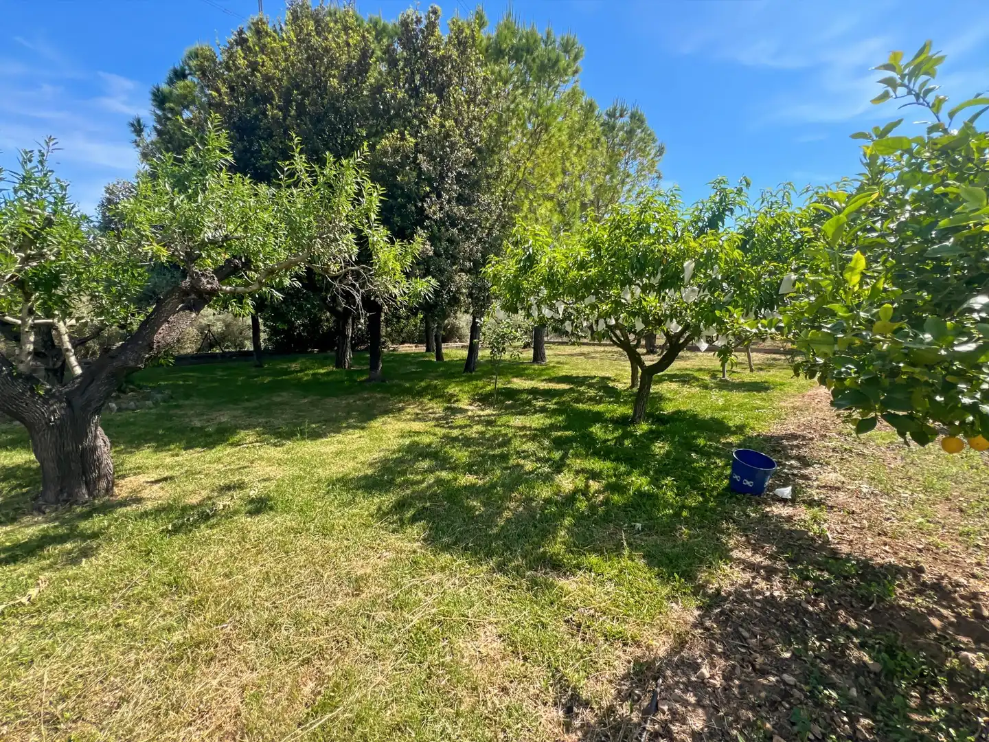 Villa avec piscine à vendre à Borriol, imagen 48