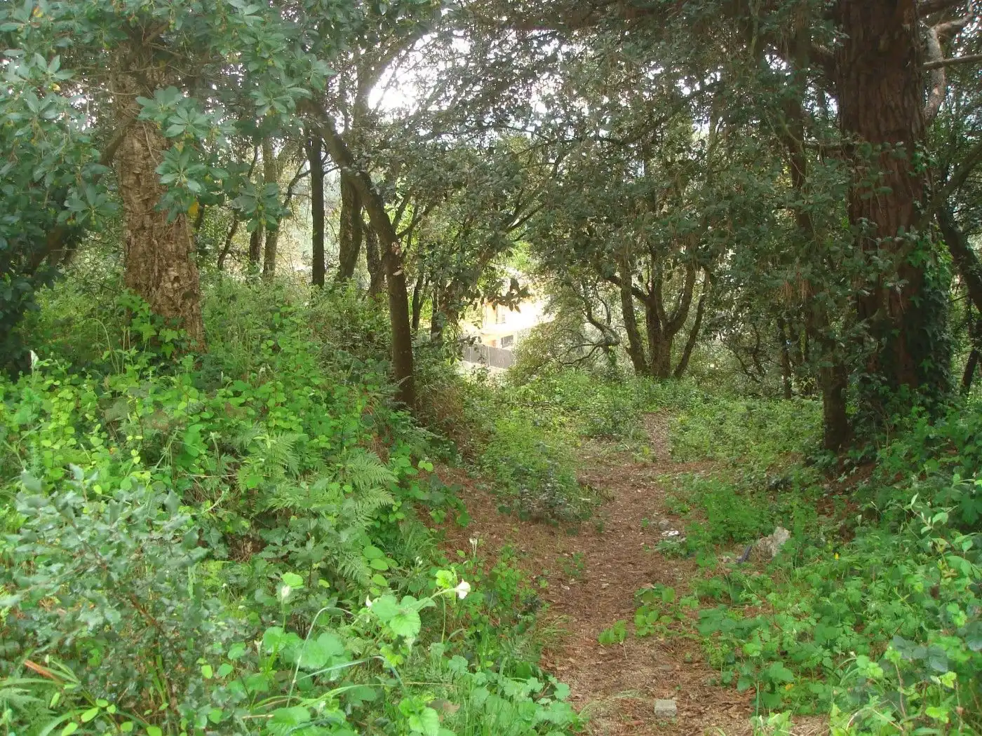 Terreno residencial en venta en Lloc Can Puigdemir 8H, imagen 11