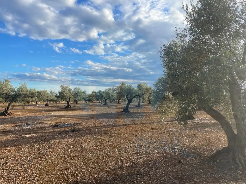 Country house for sale in L'Ampolla, imagen 4