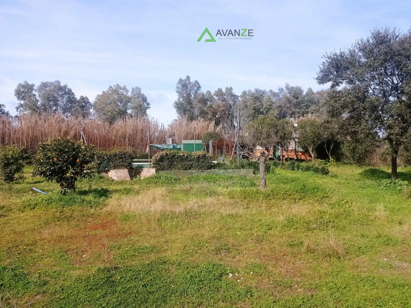 Casa rústica en venta en Aljucén, imagen 9