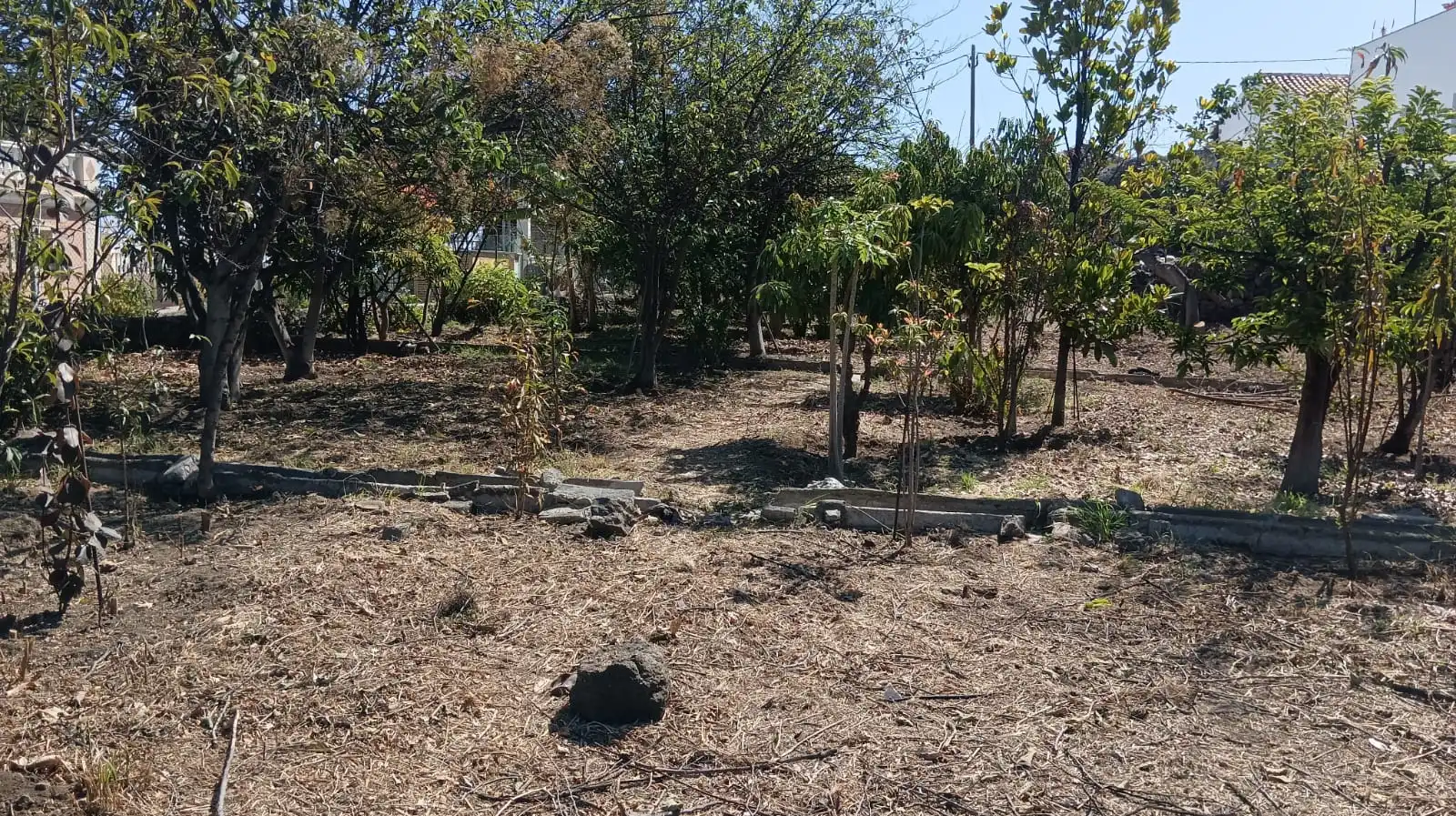 Rural land for sale in San Felipe - San Marcos - Las Cañas, imagen 10