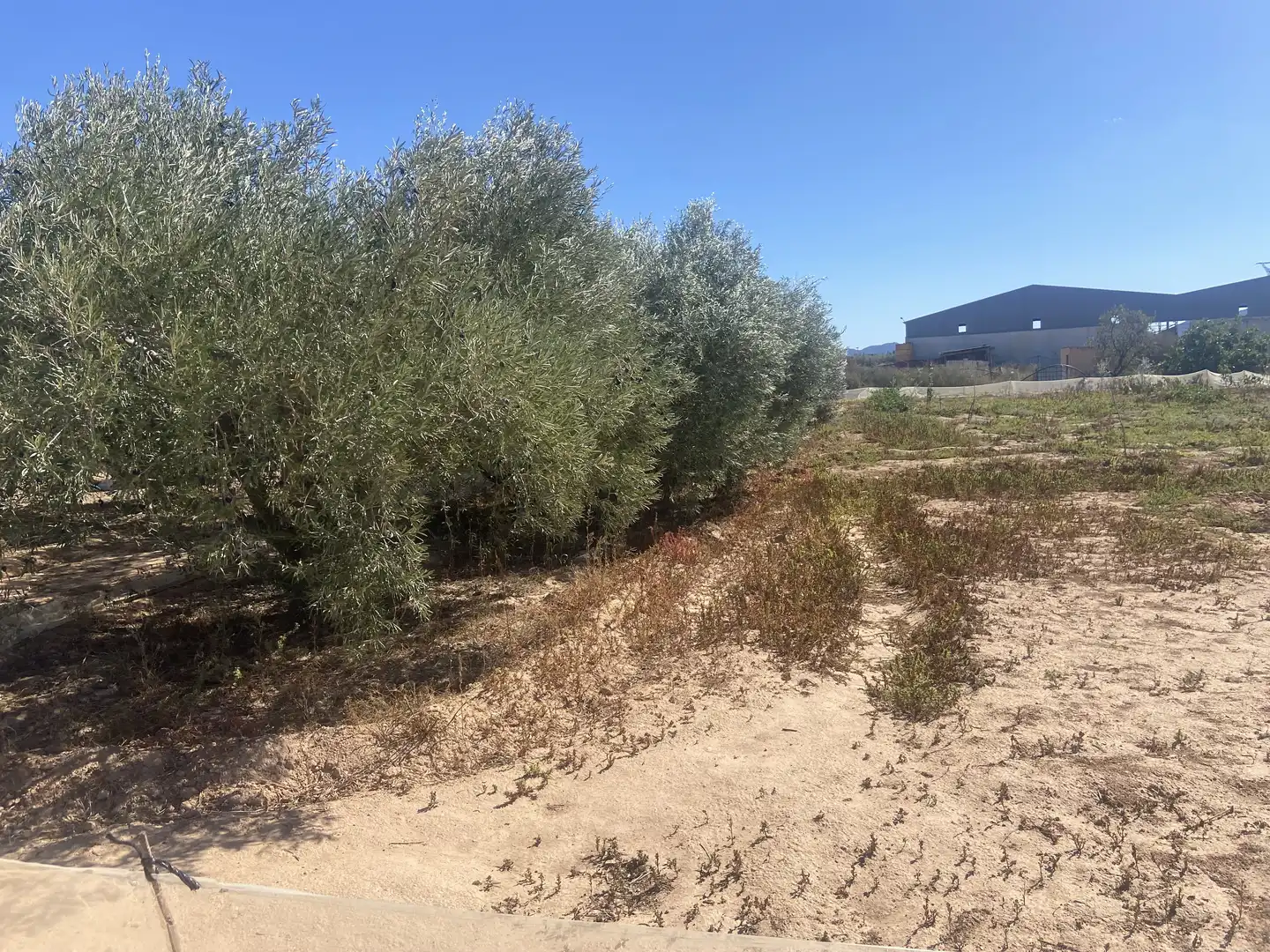 Land for sale in Cartagena