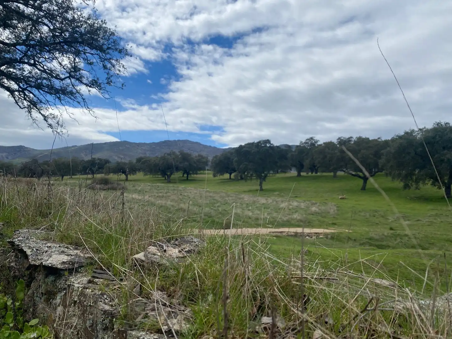 Terreny en venda a Mohedas de la Jara