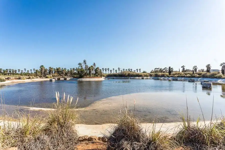 Casa rústica en venta en Ses Salines Poble, imagen 17