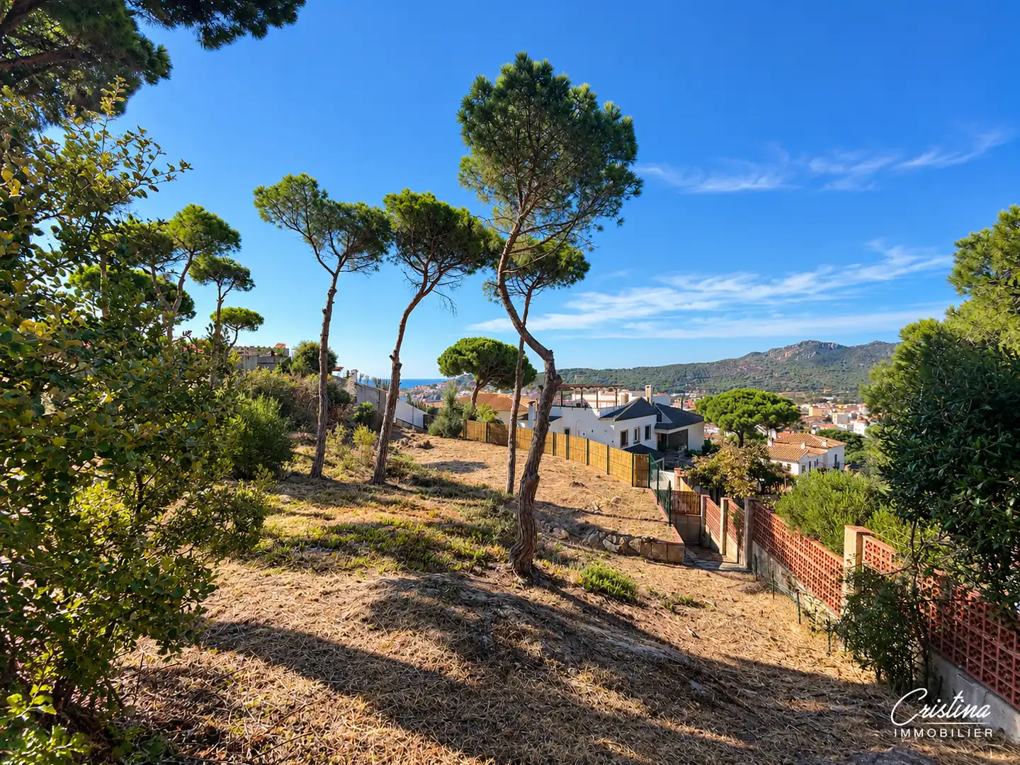 Terreny residencial en venda a President Francesc Macià, imagen 5