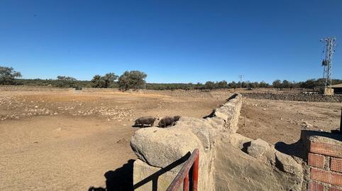 Photo 4 of Land for sale in Pozoblanco, Córdoba