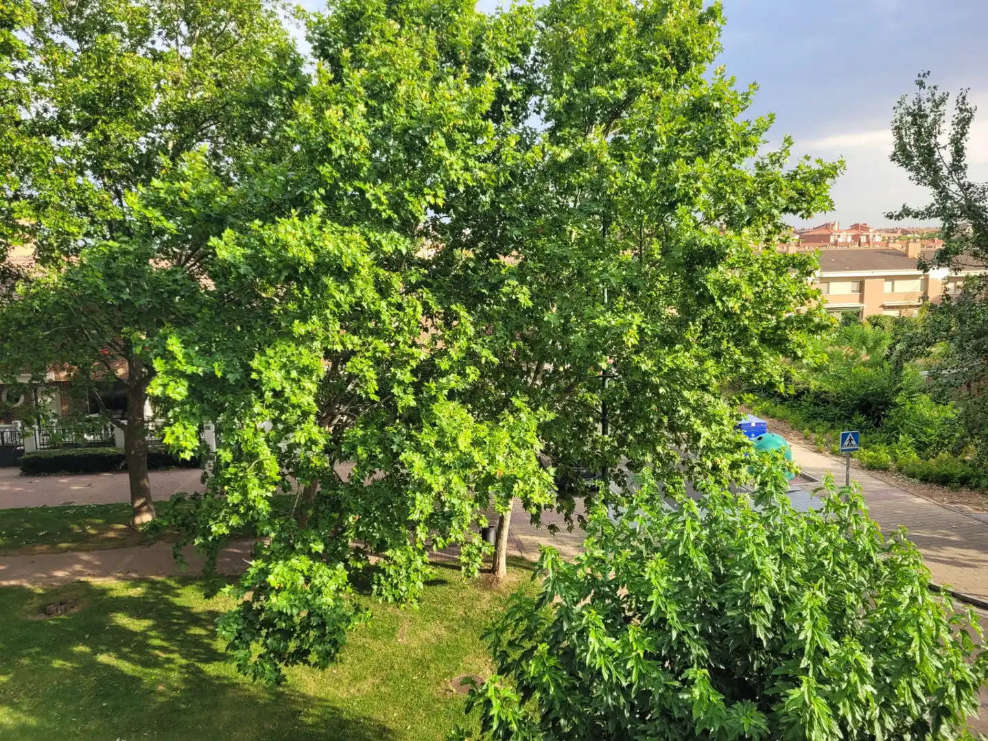 Jardí de Pis en venda en Valladolid amb Terrassa i Traster