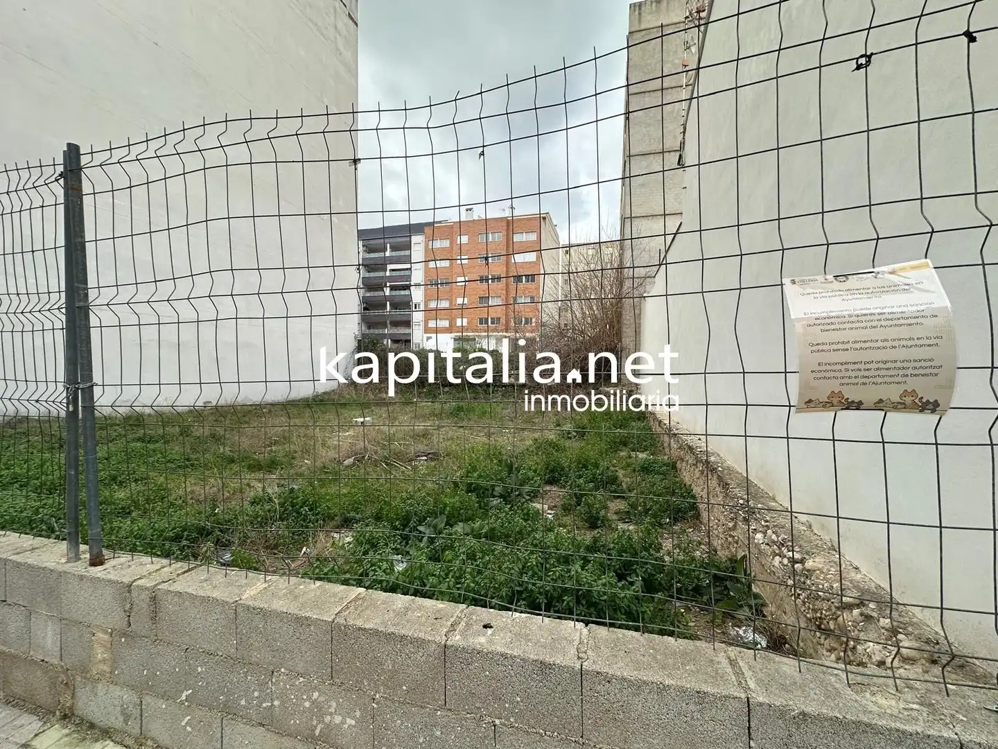 Terrenos y solares en venta en L'Olleria, imagen 2