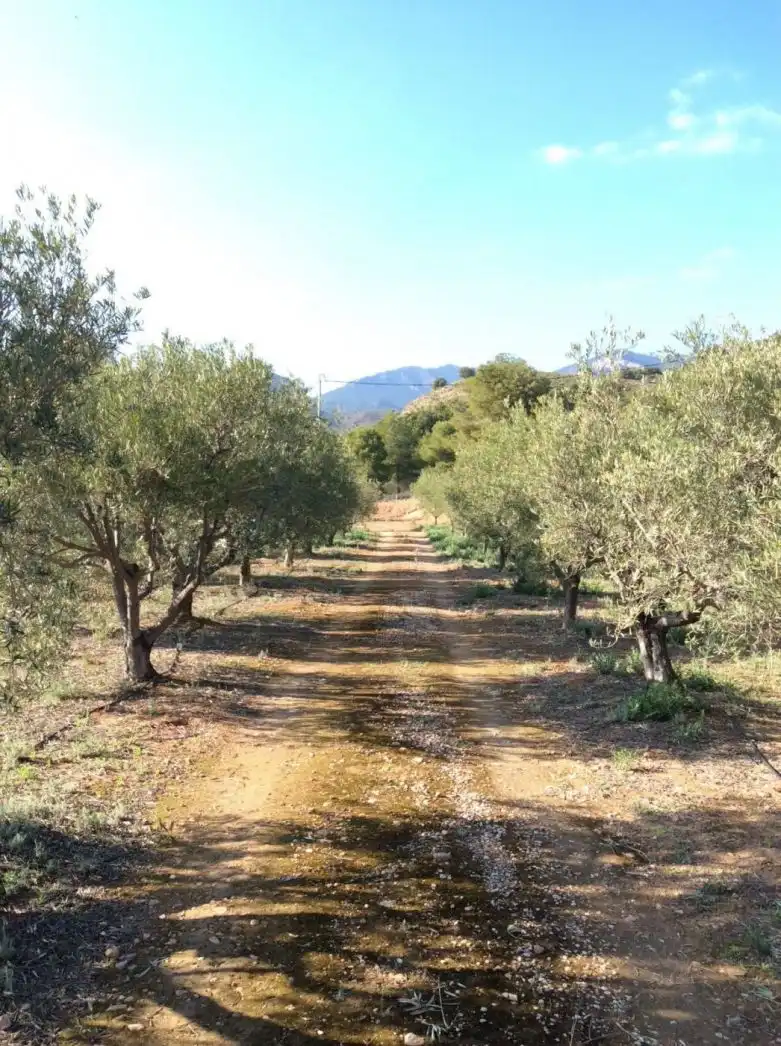 Villa in vendita a Totana, imagen 23